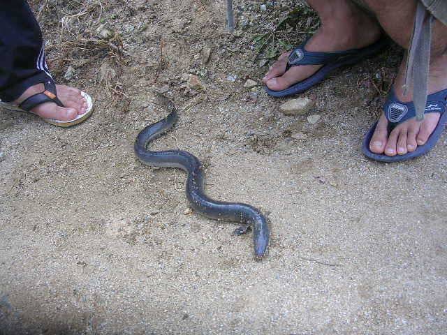 벌써 가을이네요 (유료터정보 - 유료터점주조황)