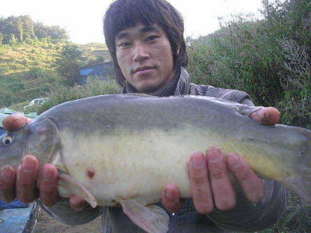 포인트의 이동 (유료터정보 - 유료터점주조황)