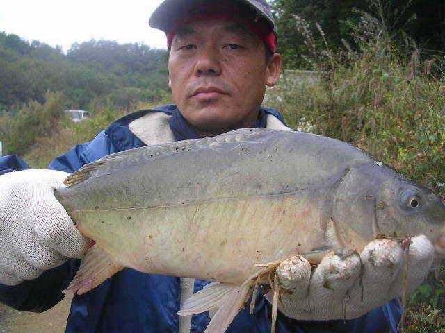 즐겁고 풍성한 한가위 되세요 (유료터정보 - 유료터점주조황)