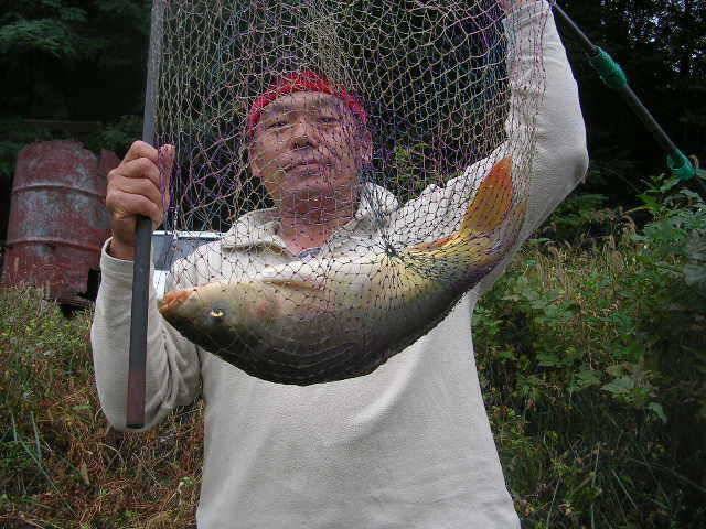 즐겁고 풍성한 한가위 되세요 (유료터정보 - 유료터점주조황)