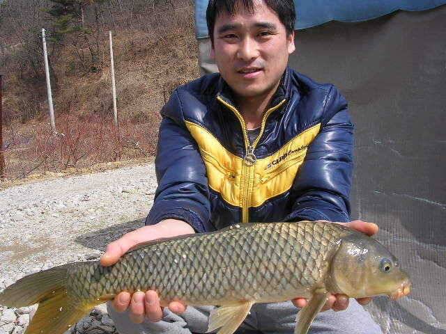 이제부터 시작 (유료터정보 - 유료터점주조황)