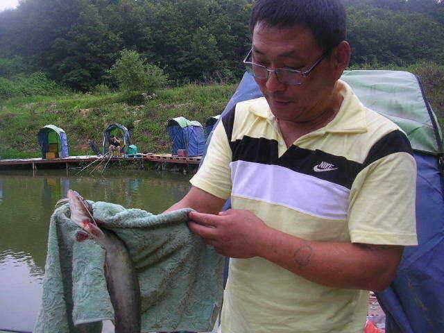 괴기들아화이팅 (유료터정보 - 유료터점주조황)