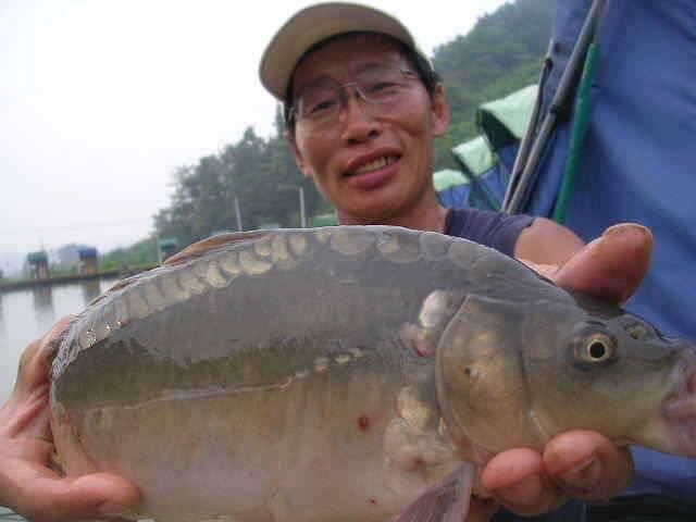 비 온후의 대박예감 (유료터정보 - 유료터점주조황)