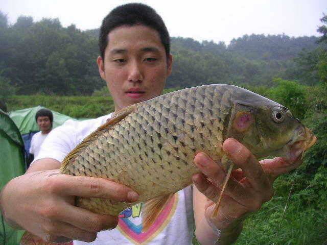 대박은 온다 (유료터정보 - 유료터점주조황)
