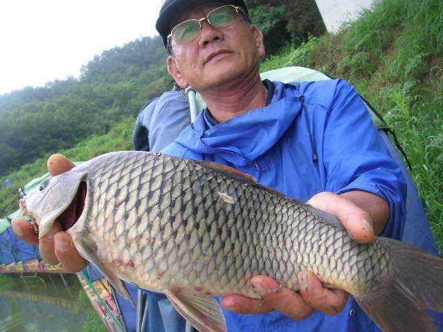 대박은 온다 (유료터정보 - 유료터점주조황)