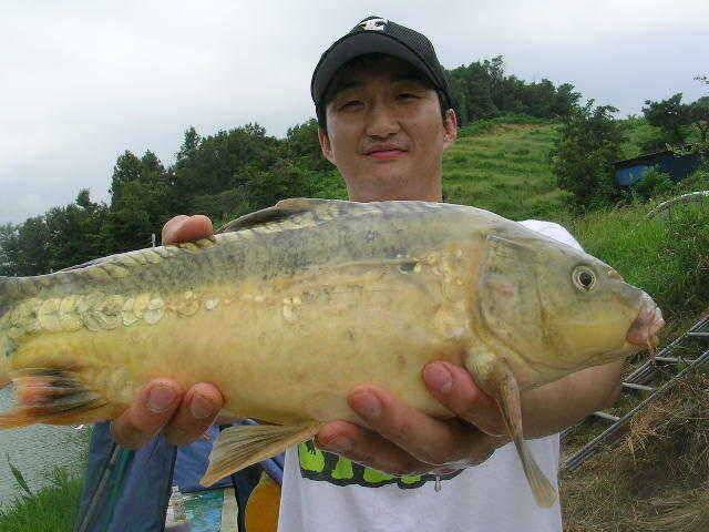 1m 이상 또는 1kg 이상의 장어를 낚는다면 (유료터정보 - 유료터점주조황)