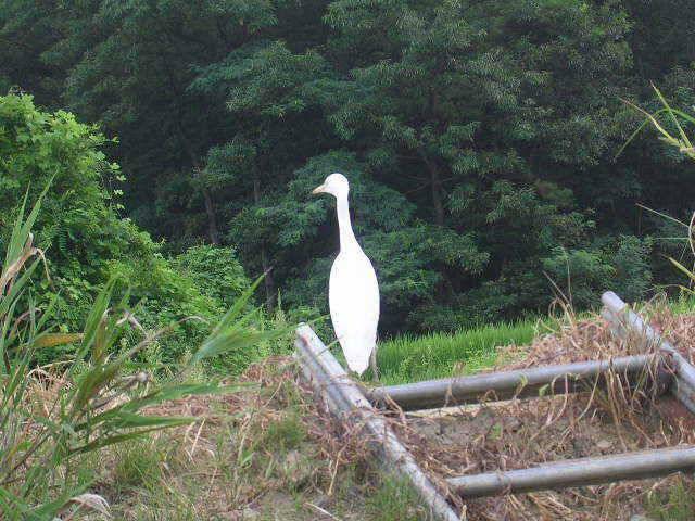 대박 하셨군요 (유료터정보 - 유료터점주조황)