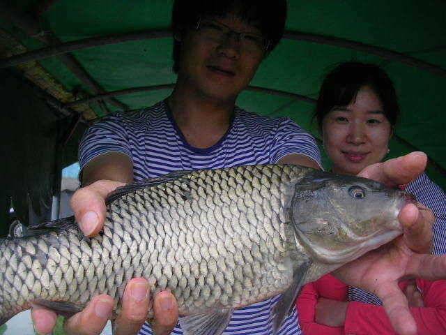1m 이상 또는 1kg 이상의 장어를 낚는다면 (유료터정보 - 유료터점주조황)