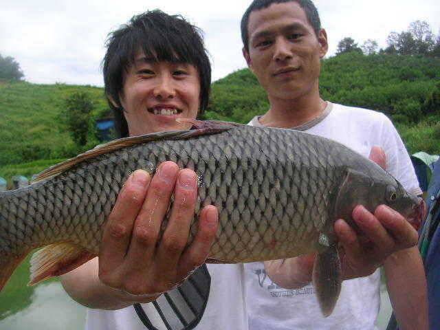 1m 이상 또는 1kg 이상의 장어를 낚는다면 (유료터정보 - 유료터점주조황)