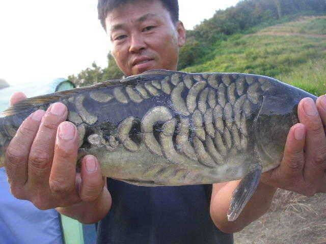 대박 하셨군요 (유료터정보 - 유료터점주조황)