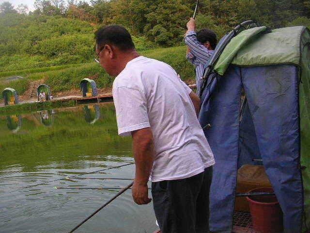 대박 하셨군요 (유료터정보 - 유료터점주조황)