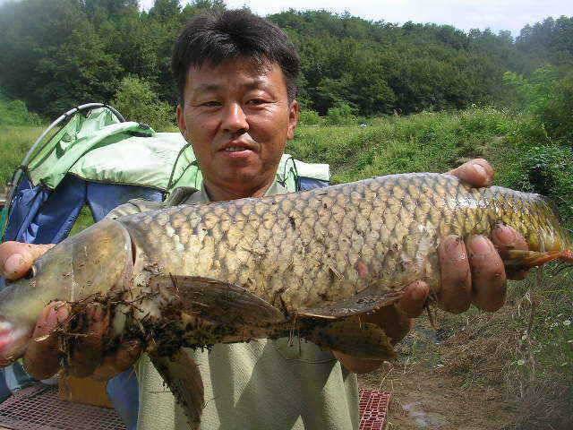 대짜7짜9짜걸이 하세요 (유료터정보 - 유료터점주조황)