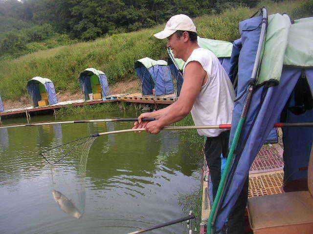 2008년 최고의 대박 (유료터정보 - 유료터점주조황)