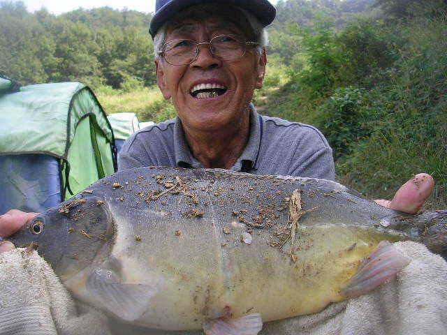 2008년 최고의 대박 (유료터정보 - 유료터점주조황)