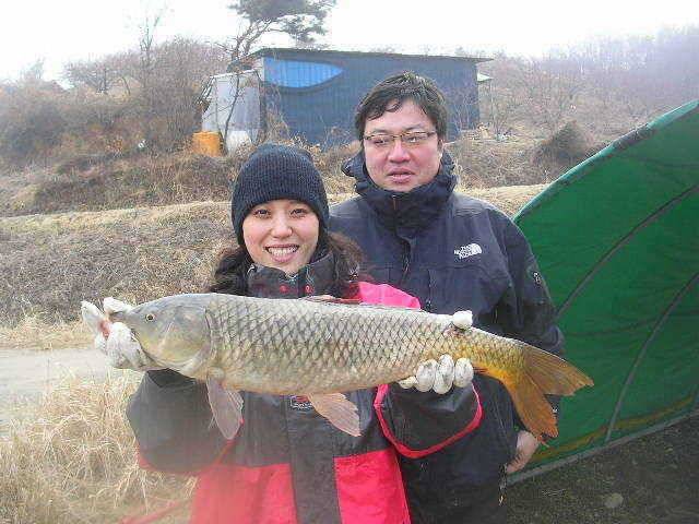 누렁이1호축하드립니다 (유료터정보 - 유료터점주조황)