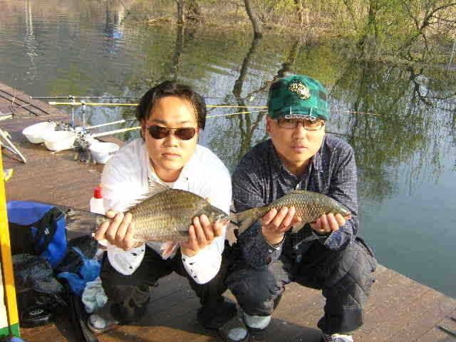 광명 32cm 토종월척 (유료터정보 - 유료터점주조황)