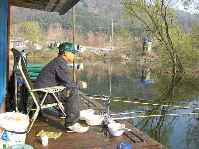 광명 32cm 토종월척 (유료터정보 - 유료터점주조황)