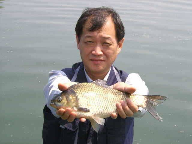 춘천 의암호 광명좌대 (유료터정보 - 유료터점주조황)