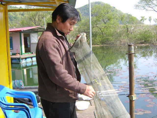 춘천 의암호 광명좌대 (유료터정보 - 유료터점주조황)