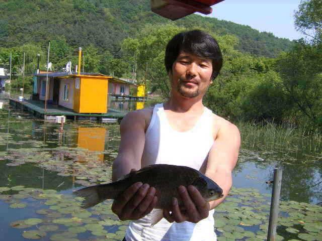 춘천 의암호 광명좌대 (유료터정보 - 유료터점주조황)