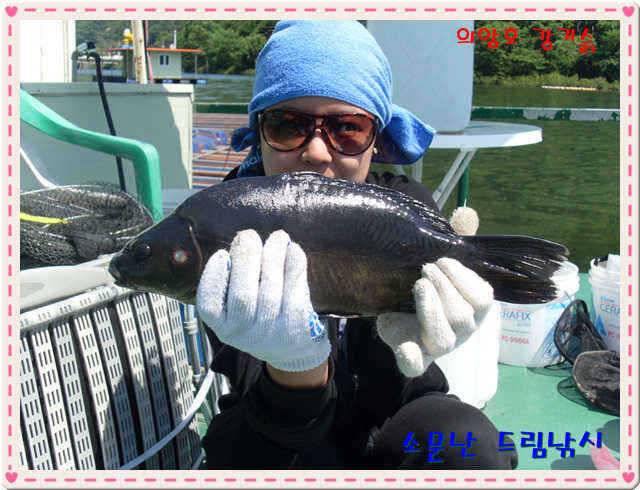 의암호 소문난 조항 (유료터정보 - 유료터점주조황)