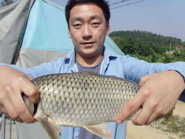 6월 두번째주 조황은 굿 (유료터정보 - 유료터점주조황)