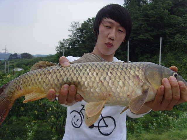 6월 두번째주 조황은 굿 (유료터정보 - 유료터점주조황)