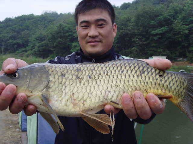 6월 두번째주 조황은 굿 (유료터정보 - 유료터점주조황)