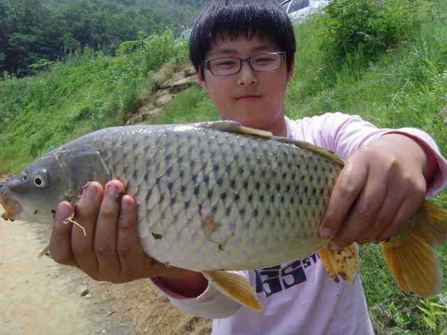 6월 두번째주 조황은 굿 (유료터정보 - 유료터점주조황)