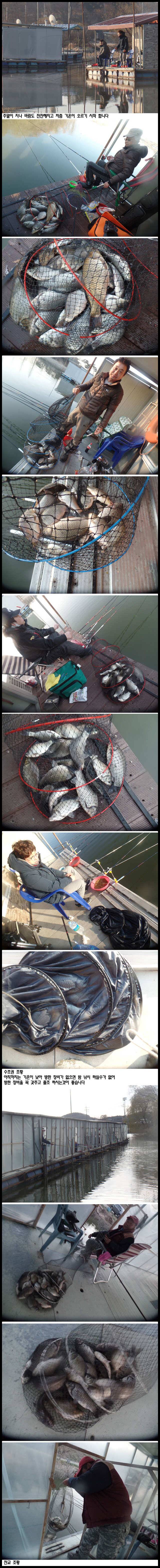 아산죽산지42일 월요일 수초권과 잔교 조황 (유료터정보 - 유료터점주조황)