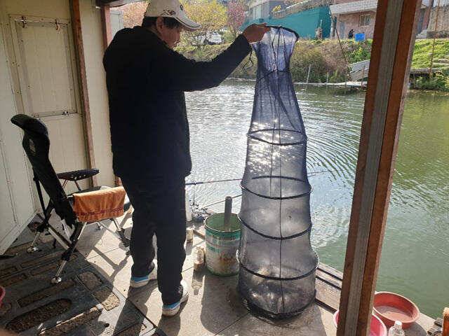 가깝고물좋고경치좋은곳용인삼인낚시터 (유료터정보 - 유료터점주조황)