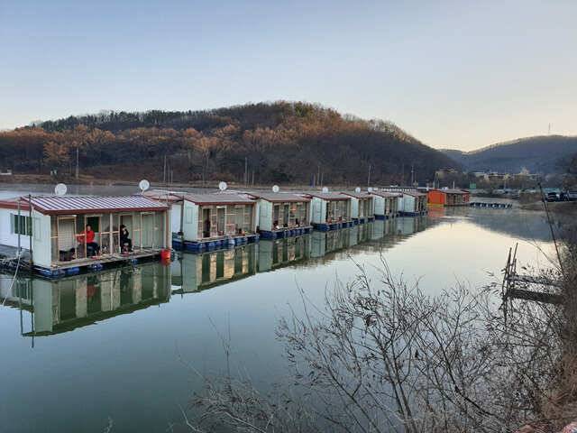 물 맑고 힘 좋은 용인 삼인낚시터용인 삼인낚시터 (유료터정보 - 유료터점주조황)