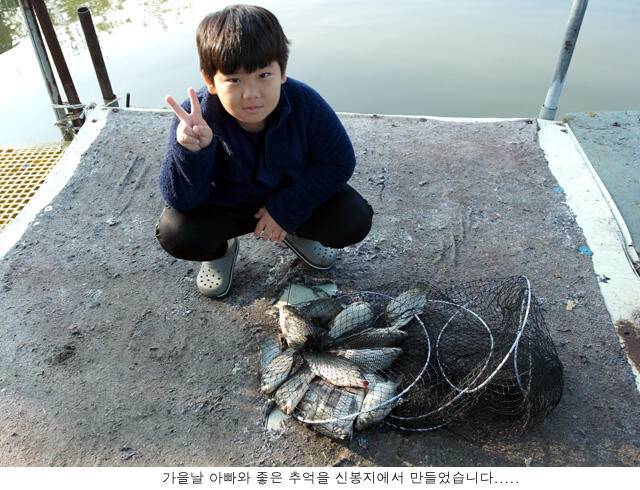 가을이 익어가는 주말 신봉지 조황은 (유료터정보 - 유료터점주조황)
