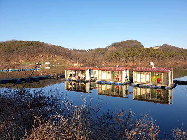 가깝고물좋고경치좋은곳용인삼인낚시터 (유료터정보 - 유료터점주조황)