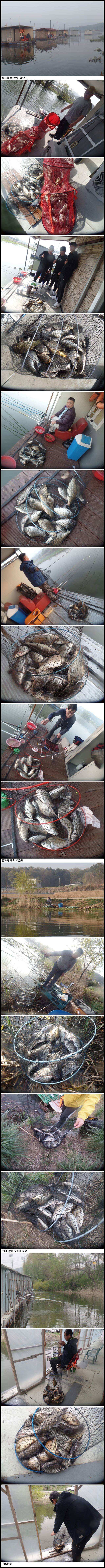아산죽산지422일 밤낚시 시즌이 되었습니다 (유료터정보 - 유료터점주조황)