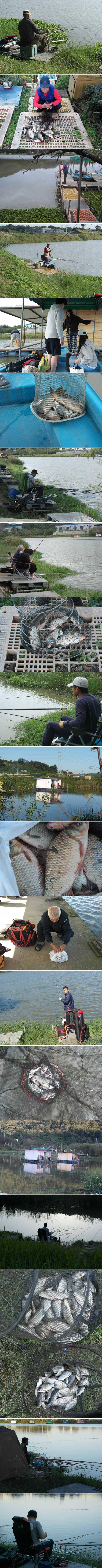 추석연휴에 토종4짜등 (유료터정보 - 유료터점주조황)