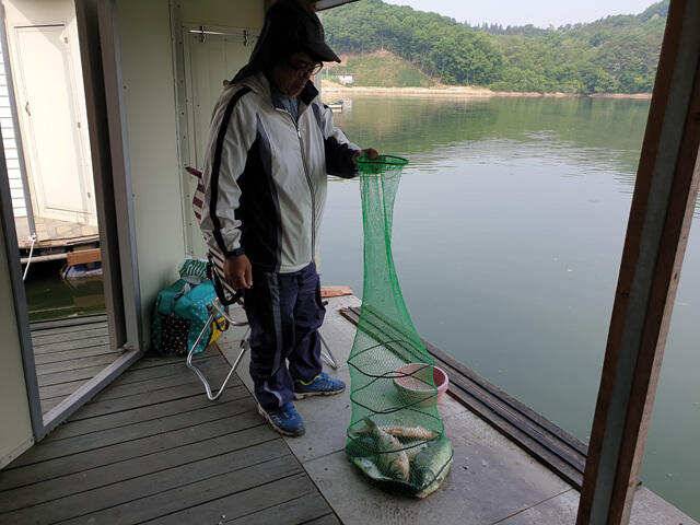 배수기 조황용인 삼인낚시터 (유료터정보 - 유료터점주조황)
