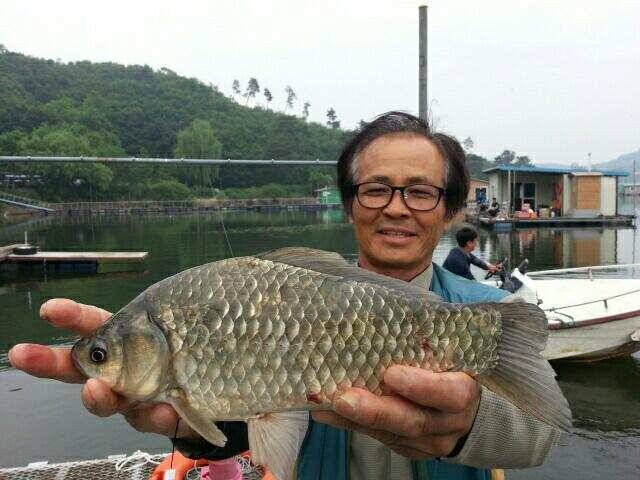 고삼지양촌물골 자리에서 사이즈와 마릿수 조황이 기다려지는 시즌입니다 (유료터정보 - 유료터점주조황)