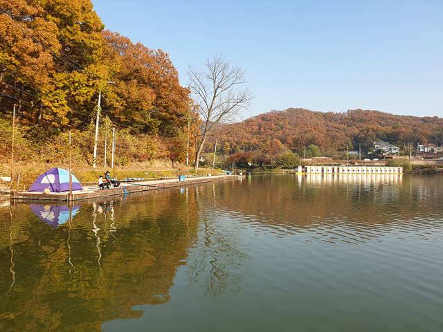 용인 삼인낚시터 주말조황용인 삼인 낚시터 (유료터정보 - 유료터점주조황)