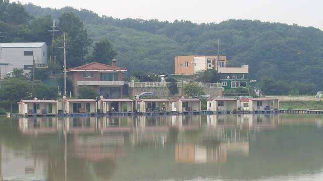 물 맑고 힘 좋은 용인 삼인 낚시터 (유료터정보 - 유료터점주조황)