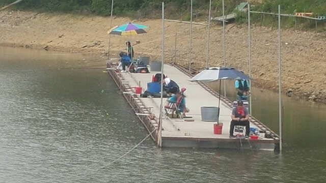 물 맑고 힘 좋은 용인 삼인 낚시터 소식 (유료터정보 - 유료터점주조황)