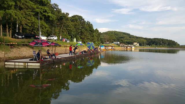 용인 삼인낚시터 주말 조황용인삼인낚시터 (유료터정보 - 유료터점주조황)