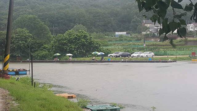 호우와 함께한 게속되는 호조황용인삼인낚시터 (유료터정보 - 유료터점주조황)