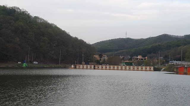 물 맑고 힘 좋은 용인 삼인 낚시터 (유료터정보 - 유료터점주조황)