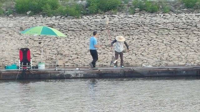 물 맑고 힘 좋은 용인 삼인 낚시터 소식 (유료터정보 - 유료터점주조황)