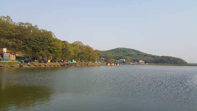 물 맑고 힘 좋은 용인 삼인 낚시터 주말 조황 (유료터정보 - 유료터점주조황)