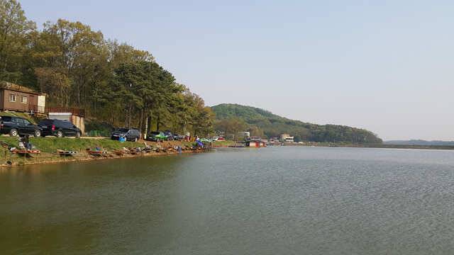 물 맑고 힘 좋은 용인 삼인 낚시터 주말 조황 (유료터정보 - 유료터점주조황)