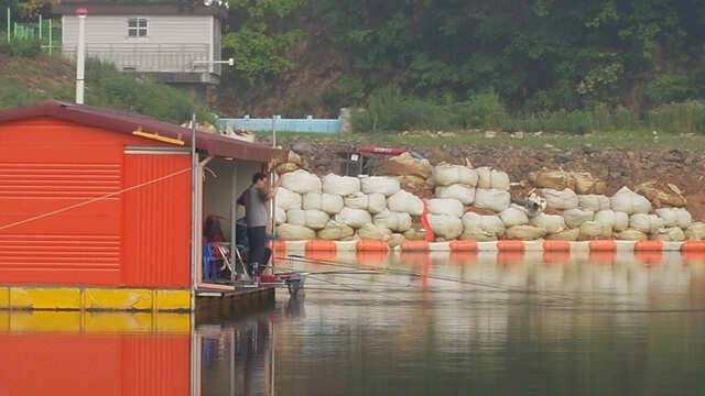 물 맑고 힘 좋은 용인 삼인 낚시터 주말 조황 (유료터정보 - 유료터점주조황)