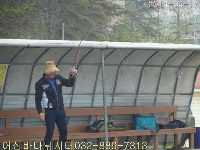 4월 17일 어심바다낚시터 조황사진 (유료터정보 - 유료터점주조황)