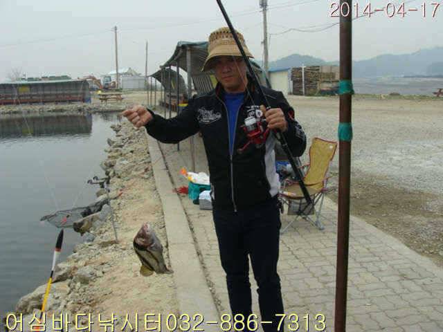 4월 17일 어심바다낚시터 조황사진 (유료터정보 - 유료터점주조황)